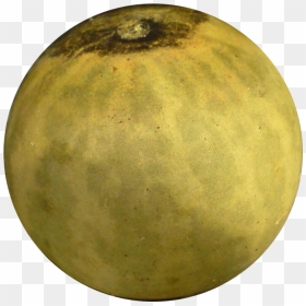 Citrullus Colocynthis - Colocynth Png, Transparent Png - pikmin png