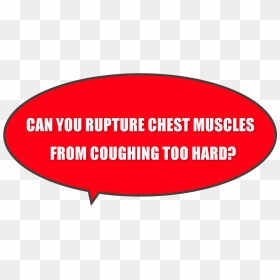 Pain Near Rib Cage Muscles When Coughing - Services, Industrial, Professional And Technical Union, HD Png Download - ribcage png