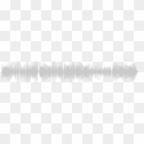 Loblolly Pine, HD Png Download - maggie lindemann png