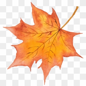 Vector Hoja Otoño Png, Transparent Png - hojas de otoño png