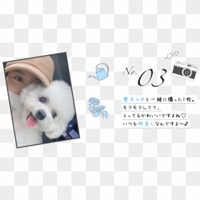 Im Yoon-ah, HD Png Download - yoona png