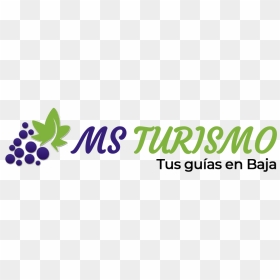 Turismo Ms - Calligraphy, HD Png Download - tecate logo png