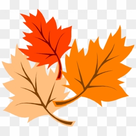Leaves Clip Art, HD Png Download - hojas de otoño png