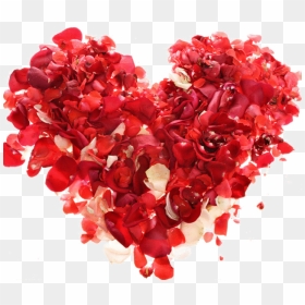 Coraz贸n De Rosas Clipart - February Heart, HD Png Download - corazon rosa png