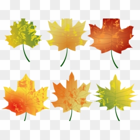 Fall Leaves Graphic - Leaves Autumn Png Vector, Transparent Png - hojas de otoño png
