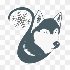 Le Husky Des Neiges Logo - 丸 に 三 つ 柏, HD Png Download - husky logo png