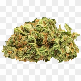 Jack Herer Aphria Inc - Jean Guy Good Supply Sqdc, HD Png Download - daehyun png
