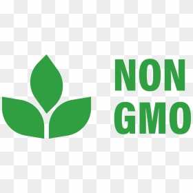 Non Gmo - Graphic Design, HD Png Download - non gmo logo png