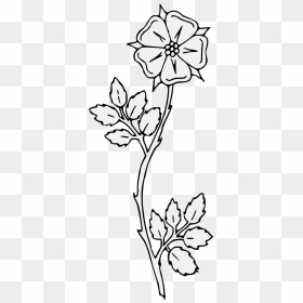 Line Art, HD Png Download - rose thorns png