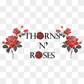 Garden Roses, HD Png Download - rose thorns png