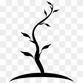 Tree Thin Shape Of Young Trunk With Few Leaves Comments - Young Tree Icon, HD Png Download - tronco png