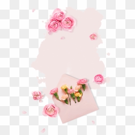 Garden Roses, HD Png Download - tronco png