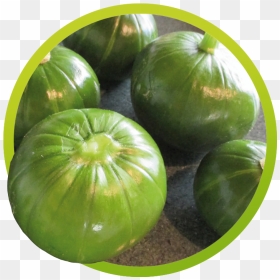 Tronco Png, Transparent Png - tronco png
