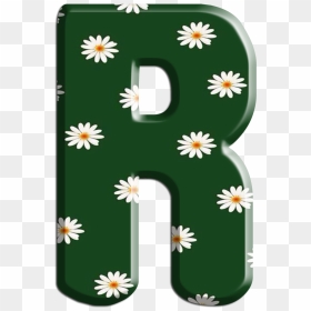 African Daisy, HD Png Download - bet png