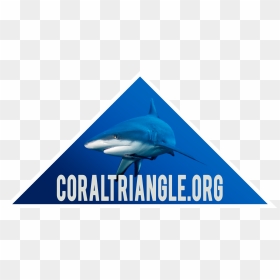 The Fram Museum, HD Png Download - corals png