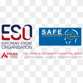 European Stroke Organisation Eso, HD Png Download - eso png