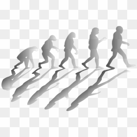 Human Vector Png, Transparent Png - human vector png