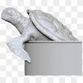 Turtle Face - Green Sea Turtle, HD Png Download - zbrush icon png
