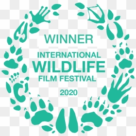 International Wildlife Film Festival, HD Png Download - corals png