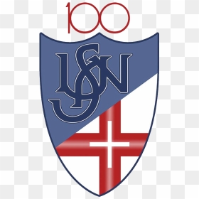Logo Centenario Novese - Novese Calcio, HD Png Download - cent symbol png