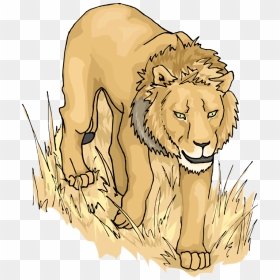 Graphic Lion - Lions Stalk Clipart, HD Png Download - lion head vector png