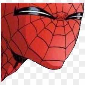 #spiderman #spidermanmeme #meme #memes #wtf #whatthefuck - Fuck Spiderman, HD Png Download - wtf meme png