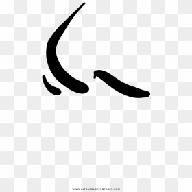 Nose Coloring Page - Calligraphy, HD Png Download - nariz png