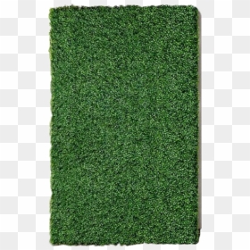 Carpet, HD Png Download - boxwood png