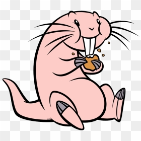 Rufus Eating A Cookie - Rufus Kim Possible Animal, HD Png Download - kim possible png