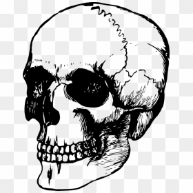 Skulls Easy To Draw, HD Png Download - death skull png