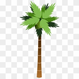 Thumb Image - Palm Tree Cartoon Png, Transparent Png - coqueiro png