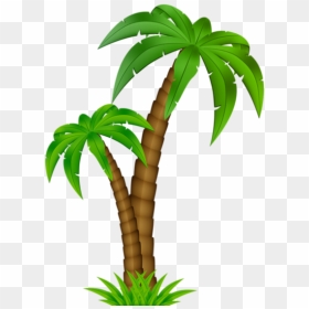 Palm Tree Cartoon Png, Transparent Png - coqueiro png