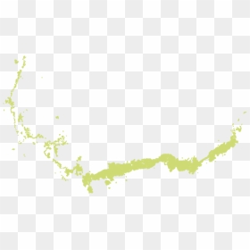 7b - Map, HD Png Download - boxwood png
