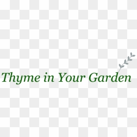 Thyme Png, Transparent Png - thyme png