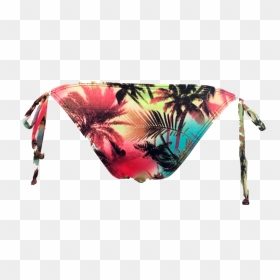Coqueiro Png , Png Download - Swimsuit Bottom, Transparent Png - coqueiro png