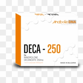Orange , Png Download - Graphic Design, Transparent Png - orange.png