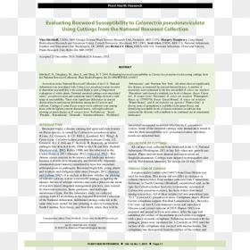 Document, HD Png Download - boxwood png