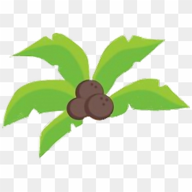 #coqueiro - Cartoon, HD Png Download - coqueiro png
