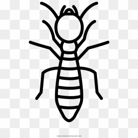 Termite Drawing, HD Png Download - termite png