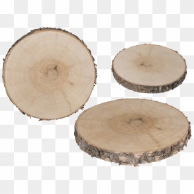 Lumber, HD Png Download - wood slice png