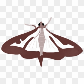 Illustration, HD Png Download - boxwood png