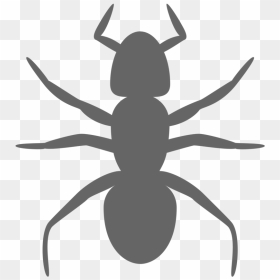 Transparent Ant Silhouette - Ant Clip Art, HD Png Download - termite png