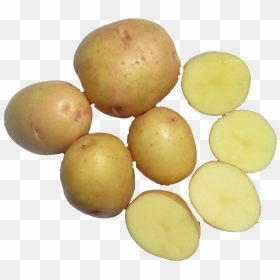 Tuber, HD Png Download - potato.png