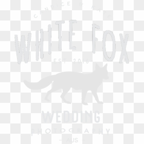 Fox Shine Png , Png Download - Paddock, Transparent Png - shine.png