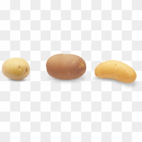 Potatoes - Russet Burbank Potato, HD Png Download - potato.png