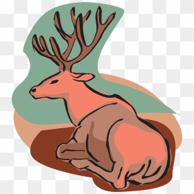 Draw A Sitting Deer - Sitting Deer Outline, HD Png Download - deer clipart png