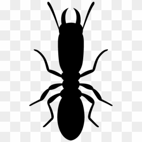 Vector Ant Termites - Termite Vector, HD Png Download - termite png