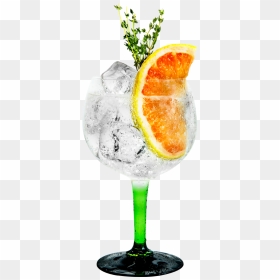 Grapefruit & Thyme Tanqueray & Fever-tree - Gin Tonic Orange Thyme, HD Png Download - thyme png