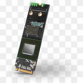 Feature Phone, HD Png Download - acorns png