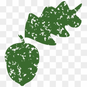 Illustration, HD Png Download - acorns png